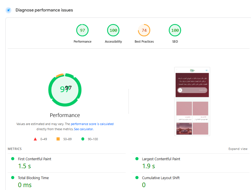 Mobile performance is strong, showing that the site is technically light and ready for real users