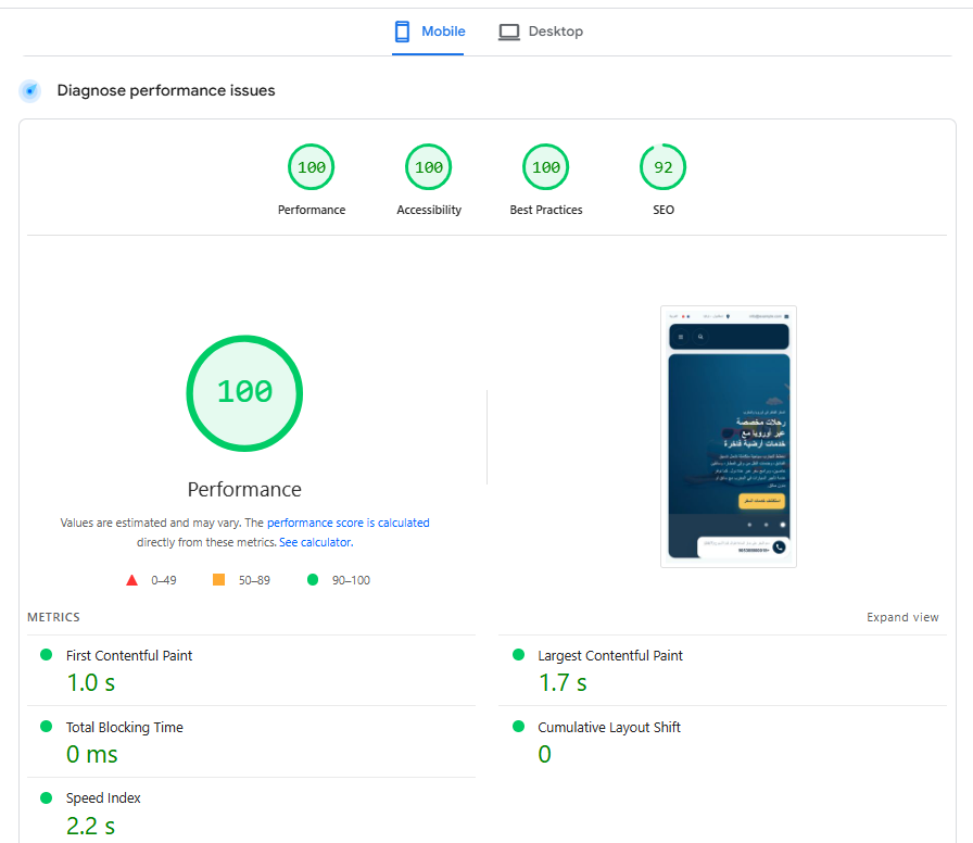 A custom-coded theme delivered excellent mobile speed and strong technical scores